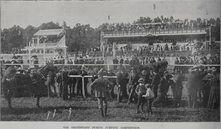 The grandstand during jumping competitions