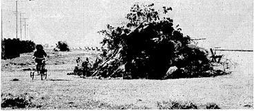 Image: Evening Post" Kioto. PREPARING FOR ,THE "FIFTH."—One of several bonfires which are being built on the beach at ? Petone in preparation for celebrating "Guy Fawkes" Day. ,■•■;.. , ■:> (Evening Post, 20 October 1936)