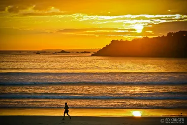 Sun Runner Image: Sun Runner