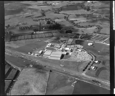 Image: Te Puke Freezing Works, (Rangiuru AFFCO)