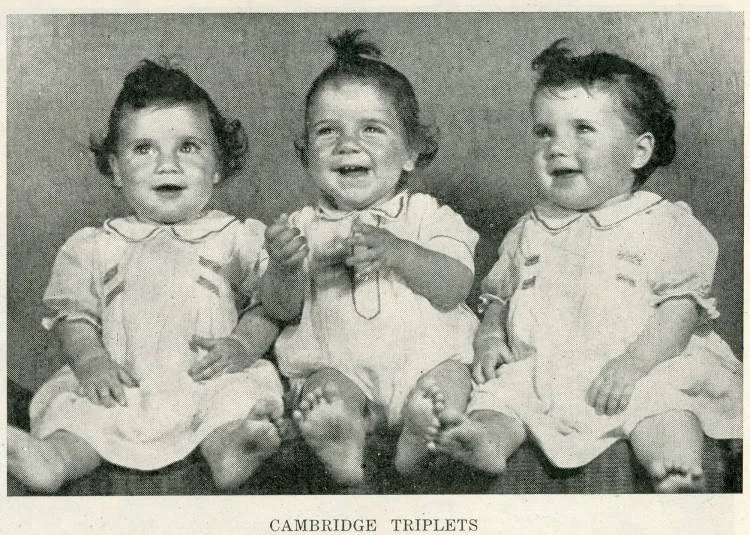 Cambridge triplets