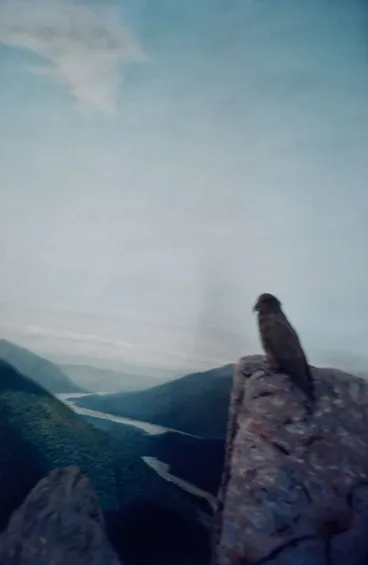 Image: Christchurch (Museum). From the series: The Homely