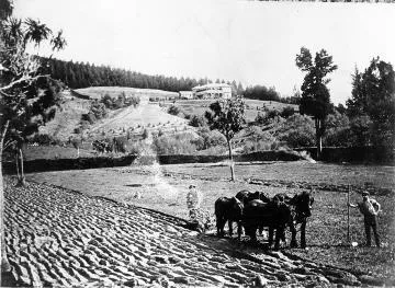 Blairlogie homestead: Photograph