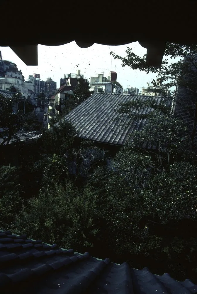 Japan Series: Roppongi House