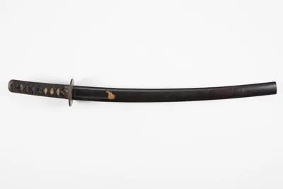 wakizashi, short sword