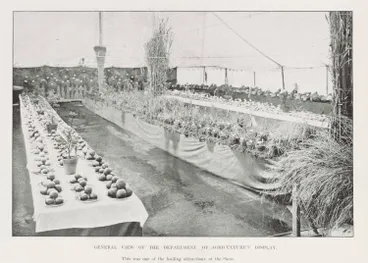 Image: General view of the Department of Agriculture's display