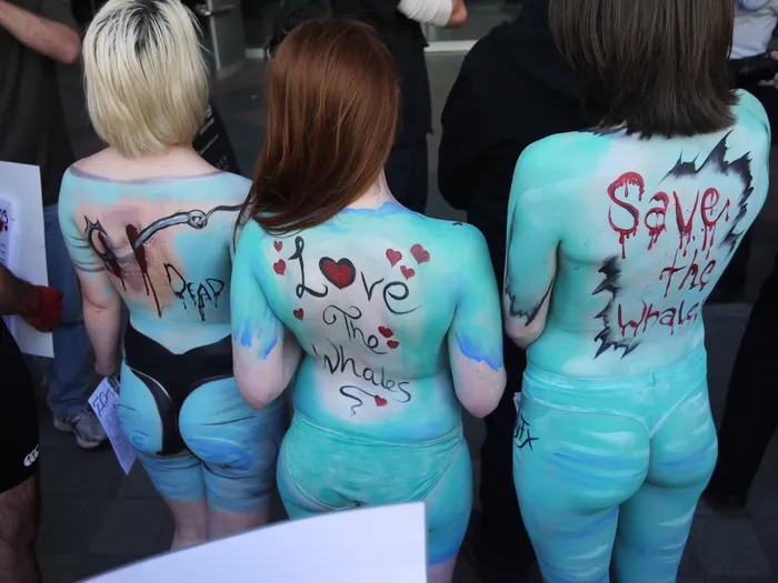 Photographs of a protest against whaling, Wellington