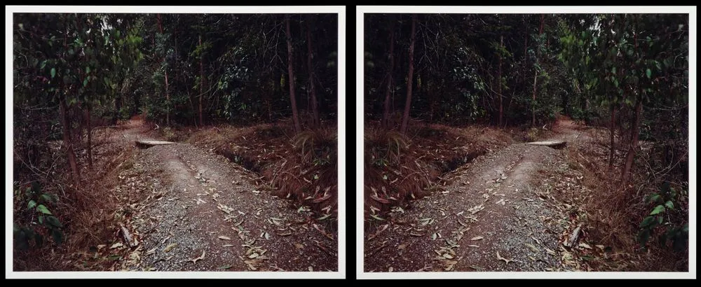 Doublet (after Heavenly Creatures), Parker/Hulme crime scene, Port Hills, Christchurch, New Zealand