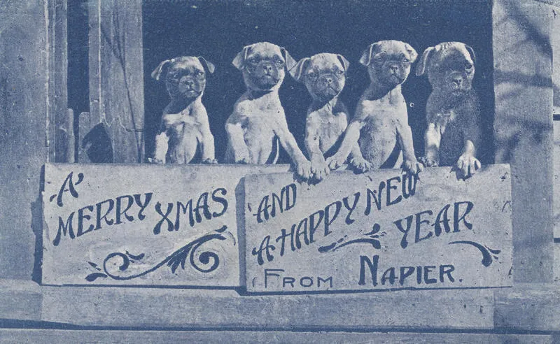 Postcard, Hope of Napier Tent