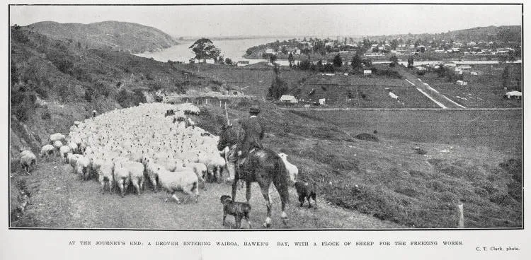 At The Journey's End