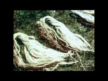 Image: New Zealand Flax (1950)