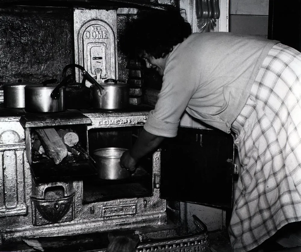 She has made dough of flour and lemon-water and puts it in the warm oven to rise