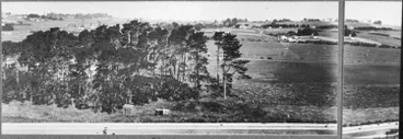 Image: Dominion Road from Mount Roskill, 1930
