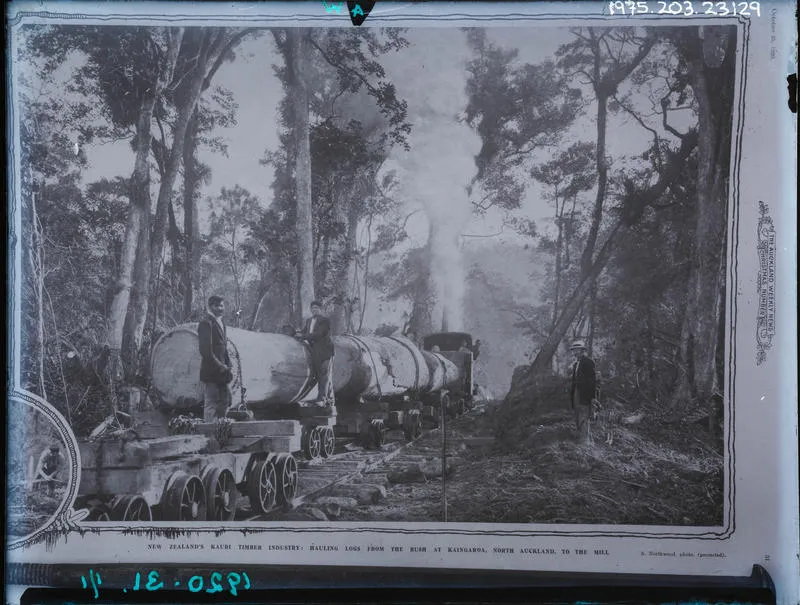 Lantern Slide: Hauling logs