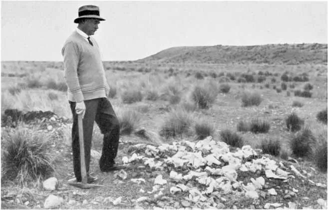 The Author Contemplating the Relics of a Moa-hunters' Feast at Waitaki
