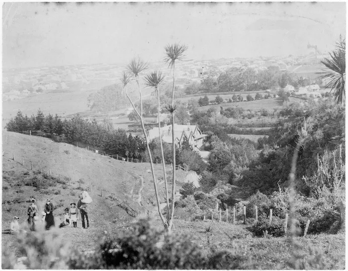 View from hills showing Ratanui House, Riddler Farm, the Petone area and (possibly) the Hector family