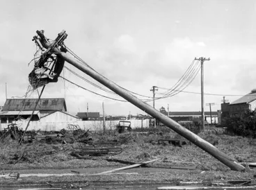 Image: Frankton tornado