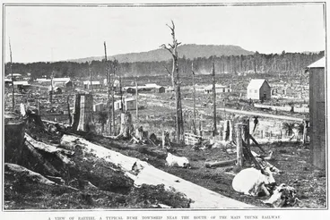 Image: A VIEW OF RAETIHI. A TYPICAL BUSH TOWNSHIP NEAR THE ROUTE OF THE MAIN TRUNK RAILWAY