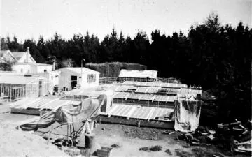 E. Hale and Son Nursery