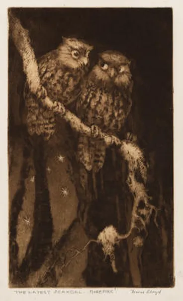 Image: The Latest Scandal ... Morepork!