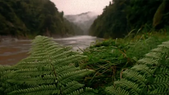 Te Awa Tupua - Voices from the River