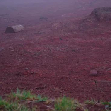 Image: See if it's really them / seht.