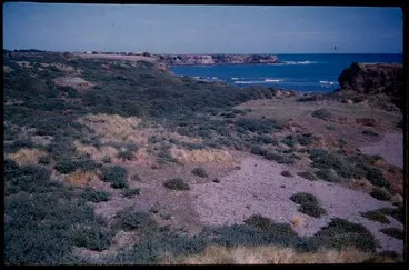 Image: Panorama of coastal setting of Te Namu pa