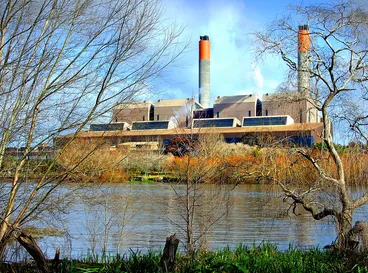 Image: 33 - Huntly2010 034 Waikato NZ ©