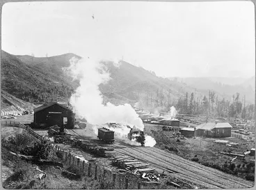 Image: Scene at Mangaweka Railway Station