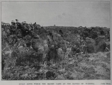 Image: Gully down which the Maoris came at the battle of Waireka