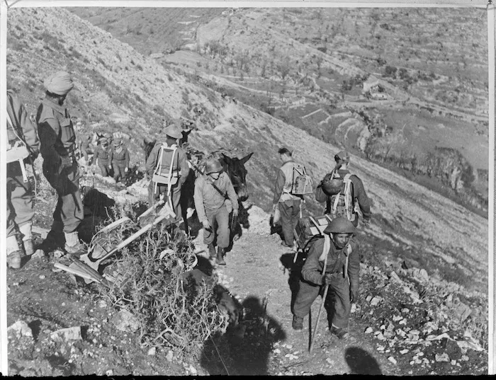 American French and Indian mule teams used by Indian formation, Monte Cassino, Italy - Photograph taken by Indian Official photographer