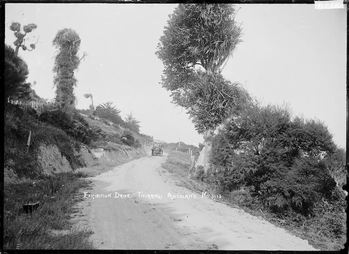 Exhibition Drive, Titirangi, Auckland