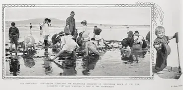 Image: Pipi gatherers