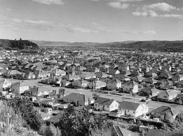 Image: View looking from Taita Cemetery across the suburb of Naenae, Lower Hutt
