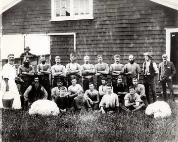Sheep shearing gang at Ahura