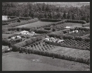 Image: Hardcastle Photographs (20)