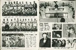 Perry Shield Table Tennis