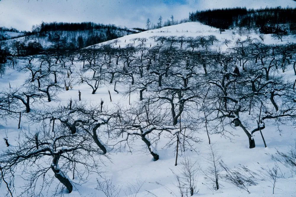Japan Series: Hokkaido