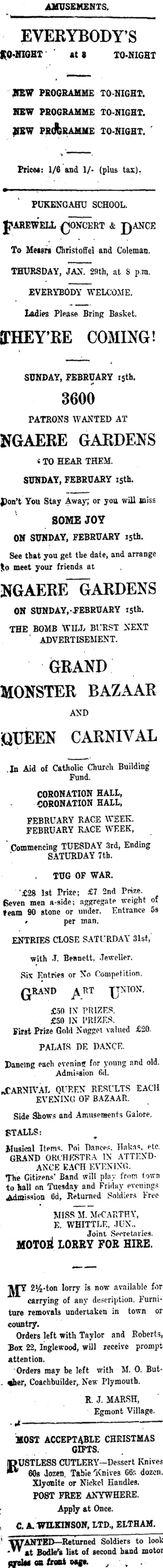 Image: Page 1 Advertisements Column 1 (Taranaki Daily News 28-1-1920)
