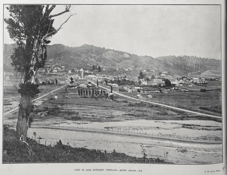 VIEW OF ROSS TOWNSHIP, WESTLAND, SOUTH ISLAND, N.Z.