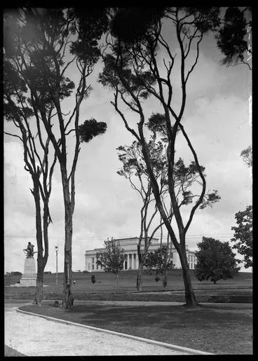 Image: Auckland War Memorial Museum