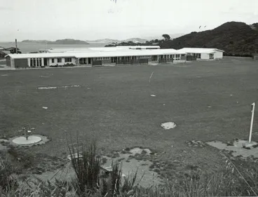 Image: Puketiro School