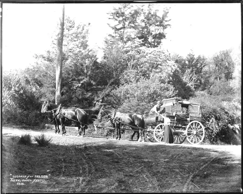 "Luggage for Nelson"