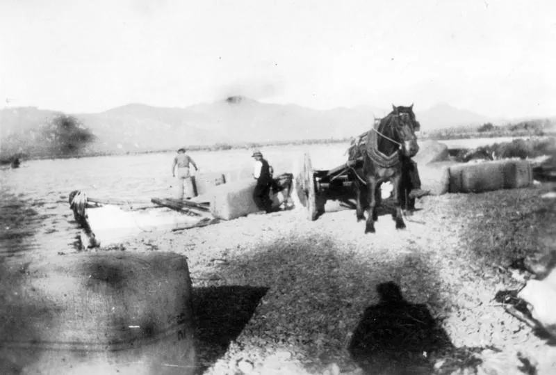 Loading Wool, Cape Runaway