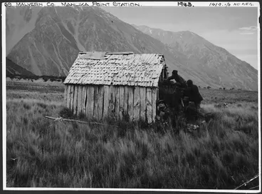 Image: Derelict hut at the Manuka Point Run, Canterbury