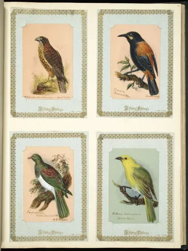 Image: Archibald Dudingston Willis (Firm) :Hieracidea Novae Zealandiae / Quail hawk. Creadion carunculatus / Saddle-back. Carpophaga Novae Zealandiae / N Z wood pigeon. Orthonyx ochrocephala / Yellow head. [ca 1885]