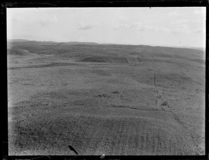 Pine plantation forestry around Tokoroa