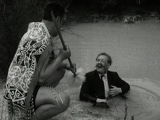 Looking at New Zealand - 'Pūhā and Pākehā'