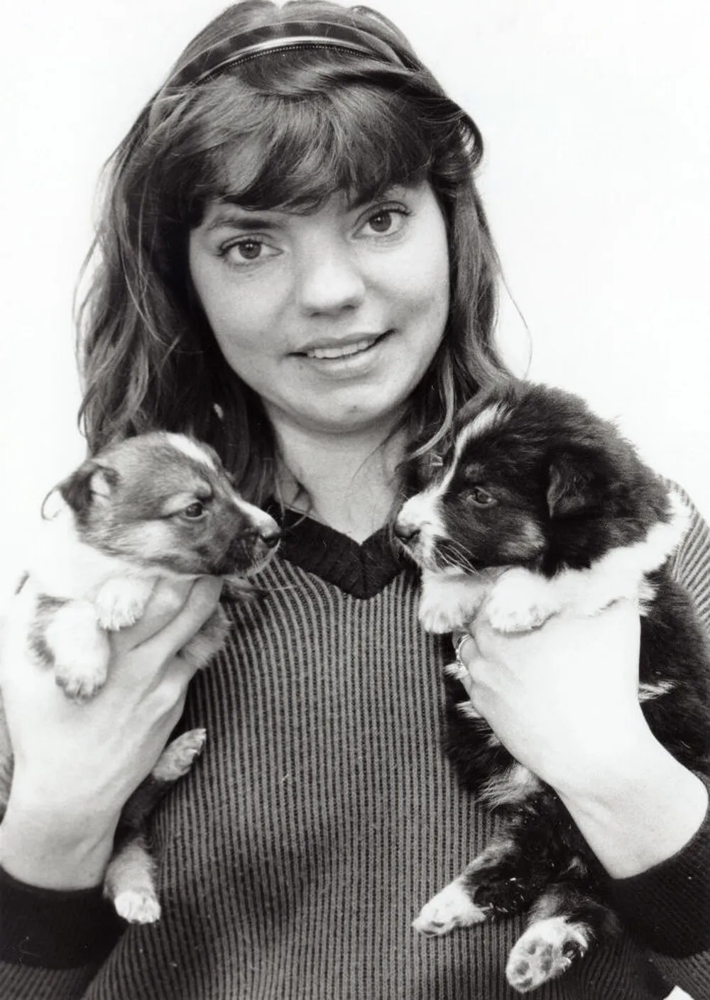 Silverstream Veterinary Clinic; nurse Rosanne Dawson with abandoned puppies.
