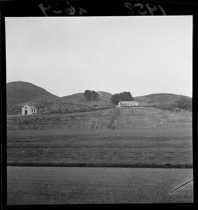 Martin Luckie Park, Beramphore,Wellington